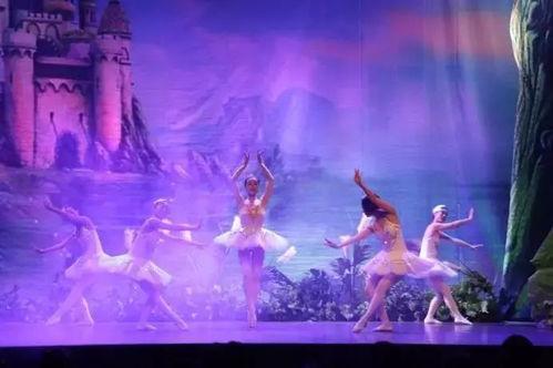 独舞天鹅爆料视频大全下载,揭秘幕后精彩瞬间