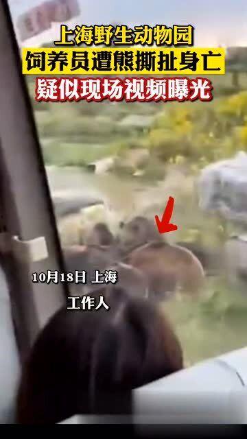 动物园员工爆料视频真实,真实幕后事件震撼揭秘