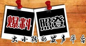 汉口新闻爆料,揭秘神秘事件背后的真相