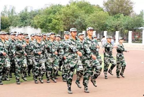 新军训皮肤爆料视频大全,精彩瞬间尽收眼底