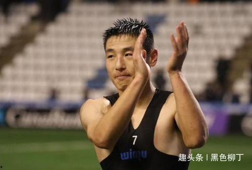 蔡慧康爆料武磊视频全集,一场足球传奇的幕后故事