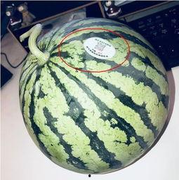 晋城网红吃瓜,揭秘当地美食圈的热辣话题