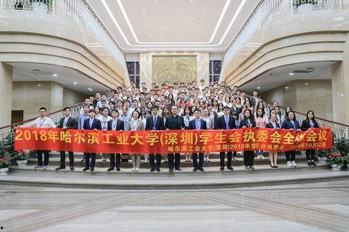 哈尔滨学校爆料新闻事件,揭开校园安全与教育乱象的神秘面纱