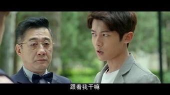 别那么骄傲在线观看,揭秘青春成长的励志篇章