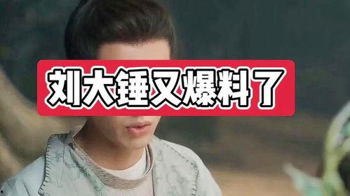 刘大锤之前爆料谁了呀视频,揭秘娱乐圈惊人内幕！