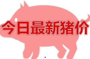 猪价情况最新爆料,最新爆料揭示市场动态与趋势