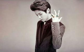 爆料鹿晗舔狗视频大全下载,揭秘明星背后的真实情感瞬间